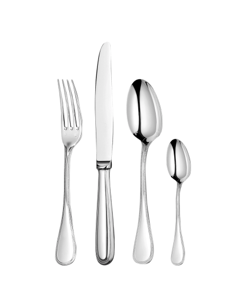 24-Piece Stainless Steel Flatware Set with Chest