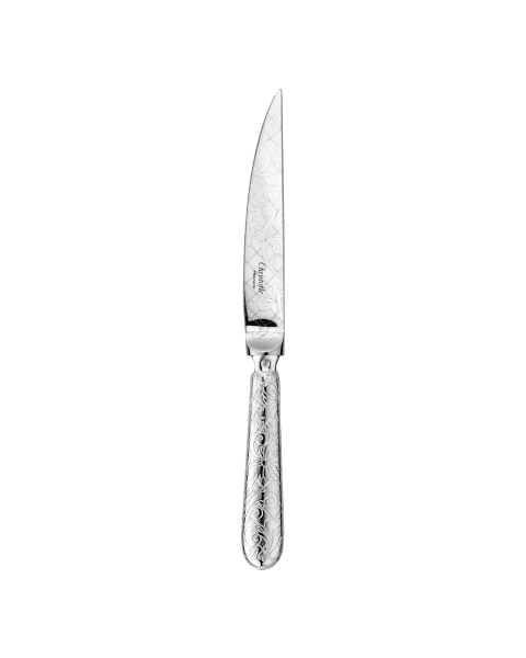Steak knife Jardin d'Eden  Silver plated