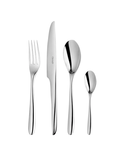 48-Piece Stainless Steel Flatware Set with Chest