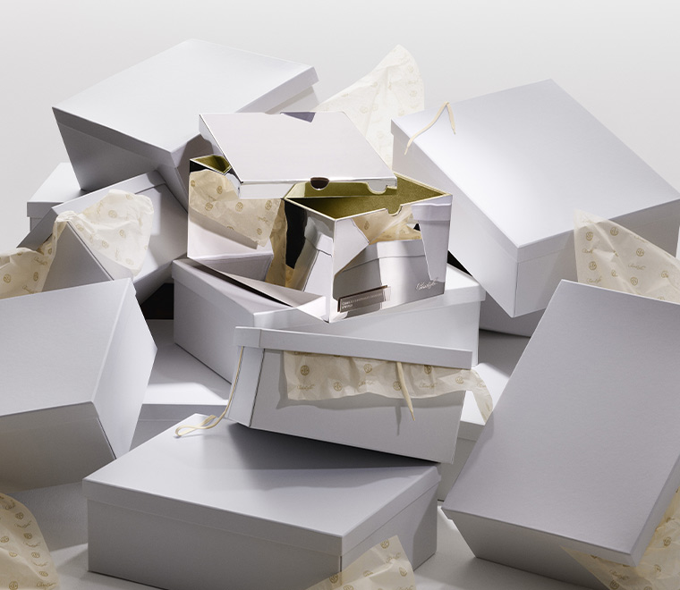 Sneaker's box